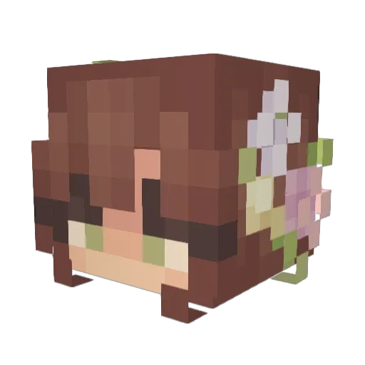 FizzyTheFairy Minecraft avatar head, 3D render
