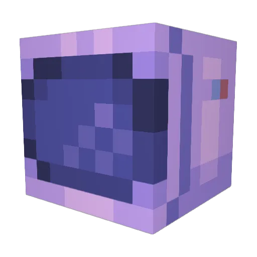 FizzyWizz239 Minecraft avatar head, 3D render