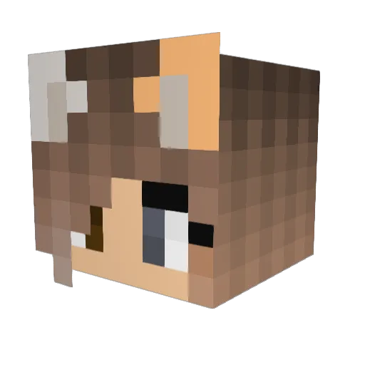 FizzyZender15 Minecraft avatar head, 3D render