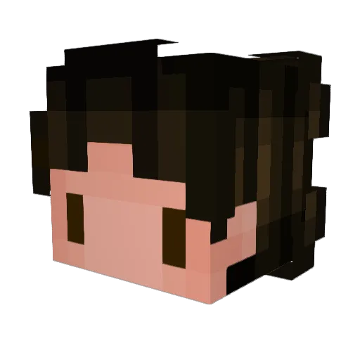 Fizzy_Foood Minecraft avatar head, 3D render