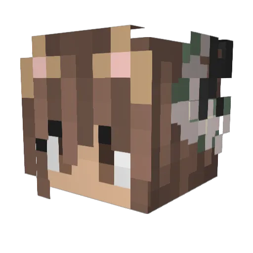 Fizzy_Lizzie Minecraft avatar head, 3D render