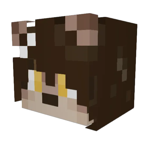 Fizzy_Pop711 Minecraft avatar head, 3D render