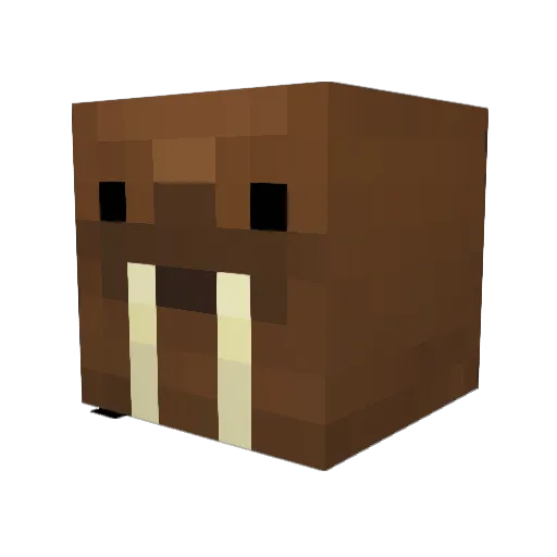 Fizzy_Walrus Minecraft avatar head, 3D render