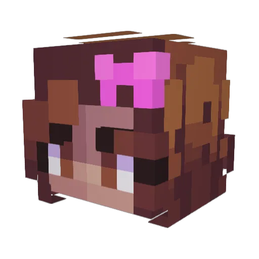 Fizzybro1907 Minecraft avatar head, 3D render
