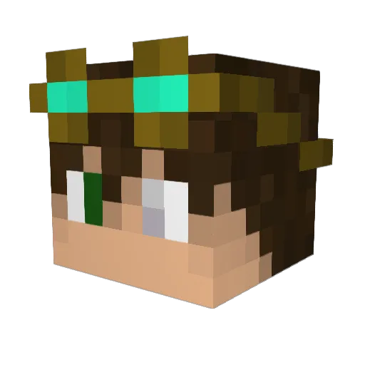 Fizzyfun53 Minecraft avatar head, 3D render