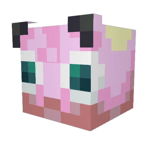 Fjant1 Minecraft avatar head, 3D render