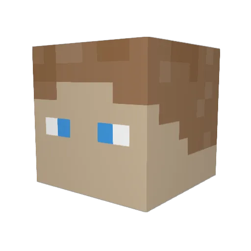 Fjollefar Minecraft avatar head, 3D render