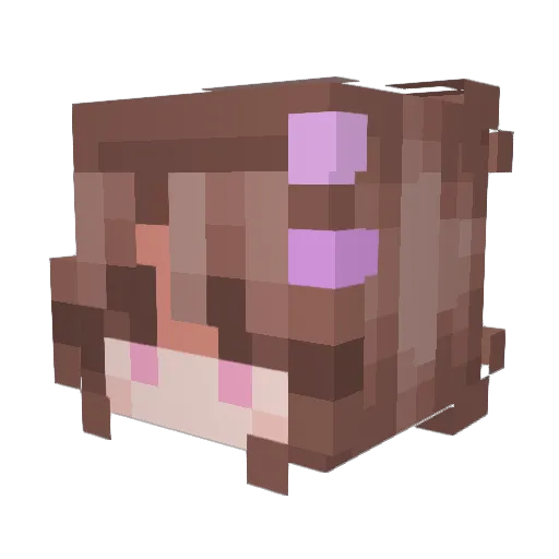 Fjolleriksen2011 Minecraft avatar head, 3D render