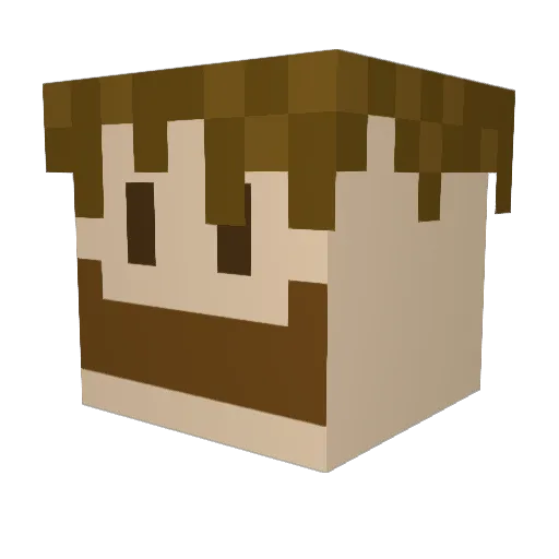 Fjordgutt2 Minecraft avatar head, 3D render