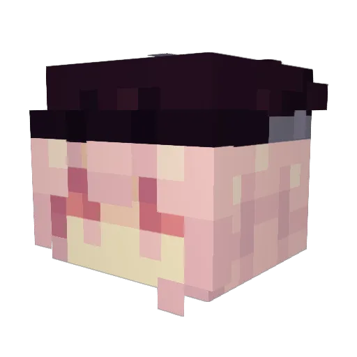 Fjordzt Minecraft avatar head, 3D render