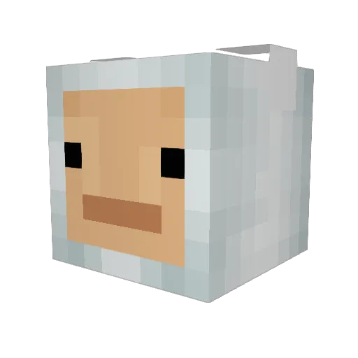 Fjutscha Minecraft avatar head, 3D render