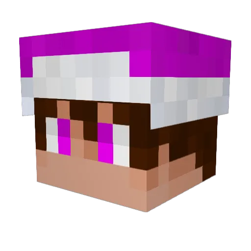 Fjuz1 Minecraft avatar head, 3D render