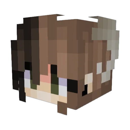 Fkys0317 Minecraft avatar head, 3D render