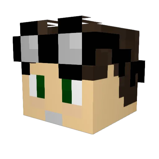 Fkz1nN Minecraft avatar head, 3D render
