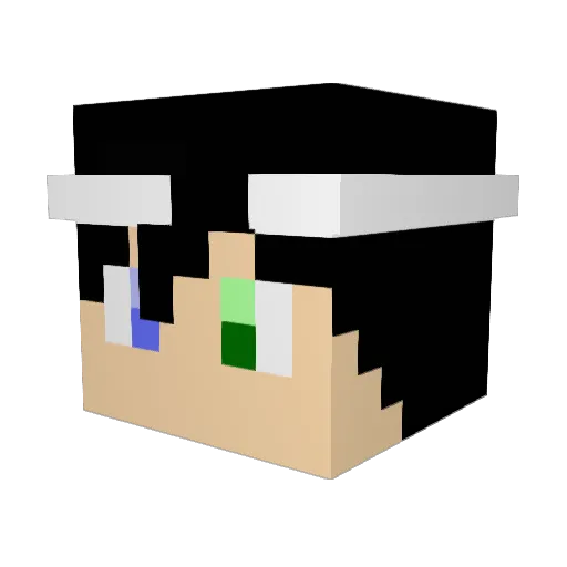 Fl0hss Minecraft avatar head, 3D render