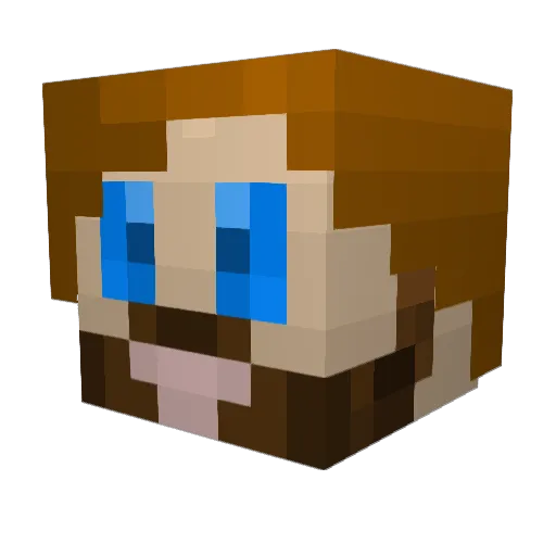 Fl0l Minecraft avatar head, 3D render