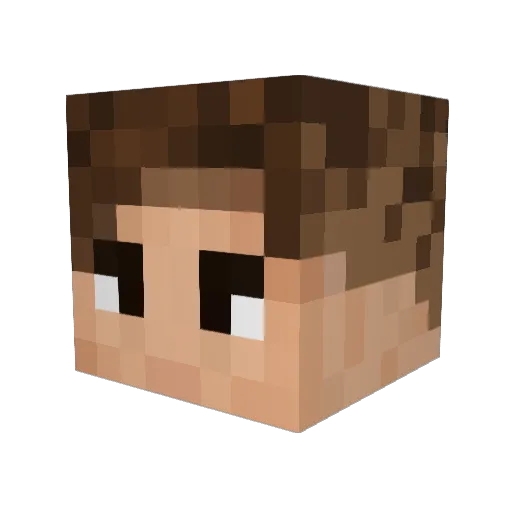 Fl0r3nt1 Minecraft avatar head, 3D render