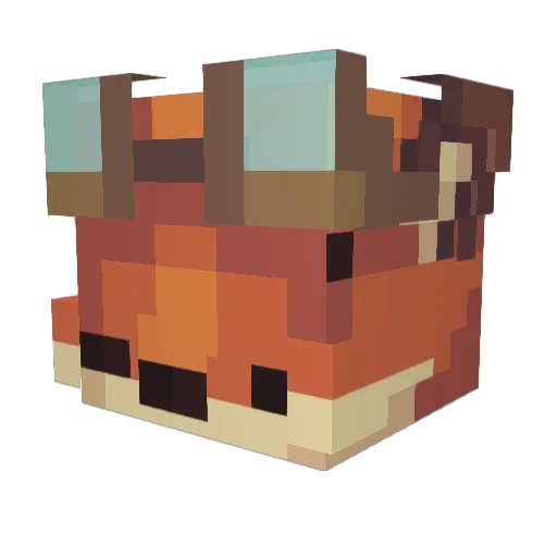 Fl0use Minecraft avatar head, 3D render