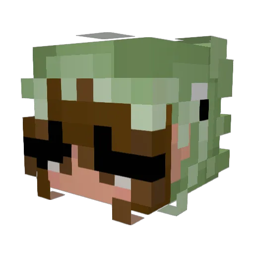 Fl0w3rzz Minecraft avatar head, 3D render