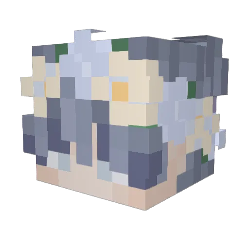 Fl0weh Minecraft avatar head, 3D render