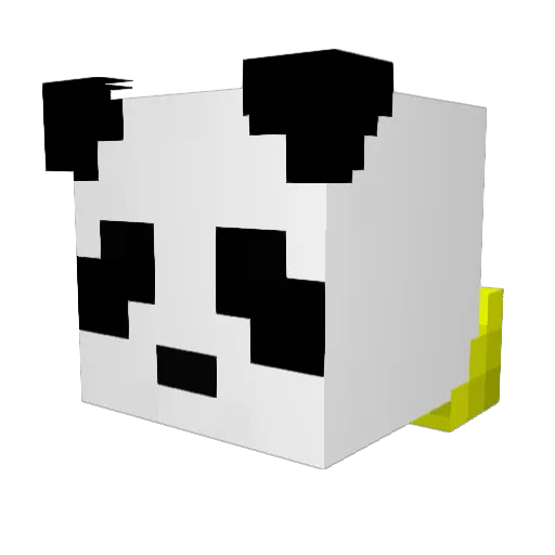 Fl0werWarrior Minecraft avatar head, 3D render