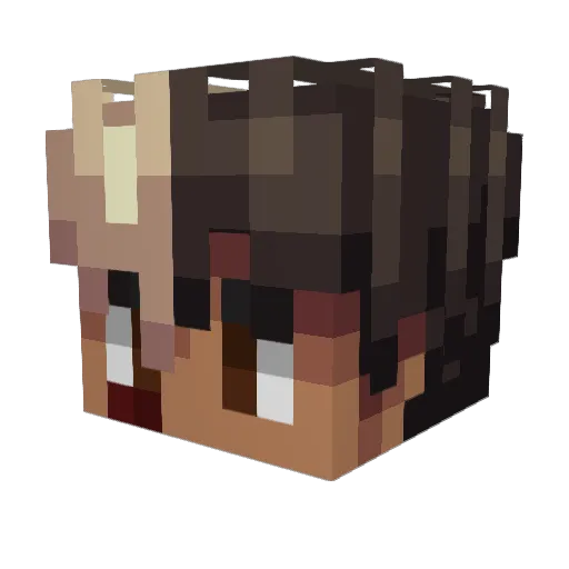 Fl1nk1 Minecraft avatar head, 3D render