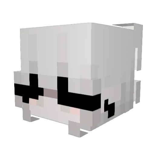 Fl1rt Minecraft avatar head, 3D render
