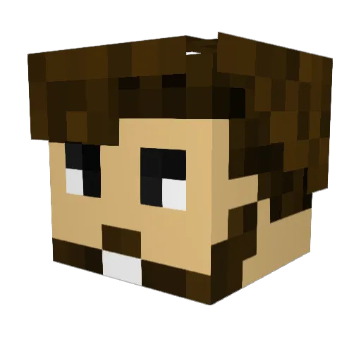 Fl1xboyy6 Minecraft avatar head, 3D render