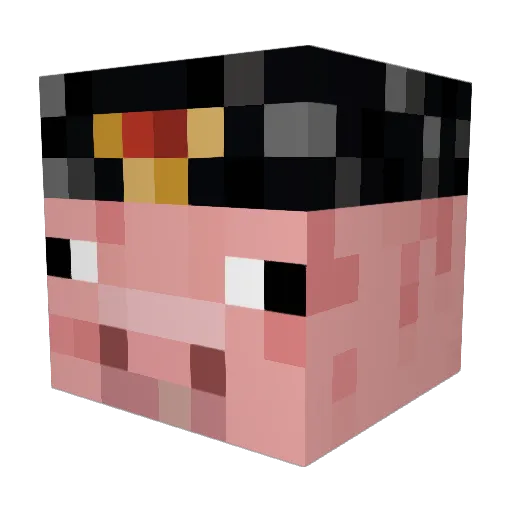 Fl3xer_Pl3xer Minecraft avatar head, 3D render