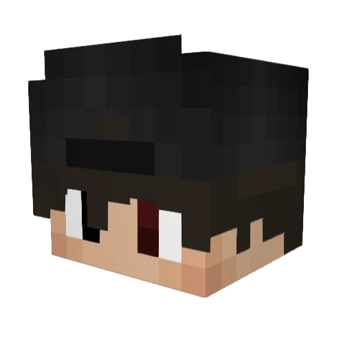Fl4XOR Minecraft avatar head, 3D render