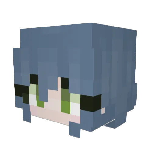 Fl4n1984 Minecraft avatar head, 3D render