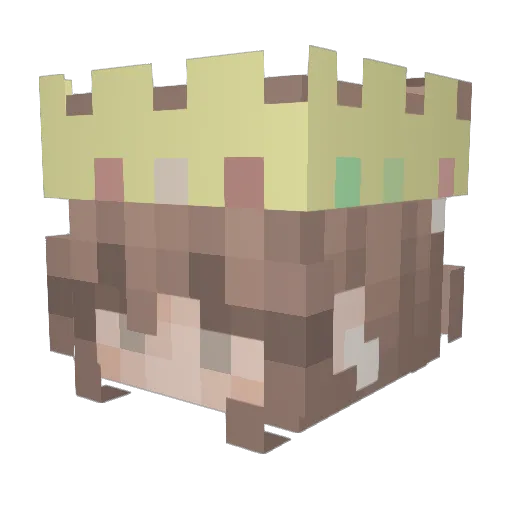 Fl4ppy456 Minecraft avatar head, 3D render