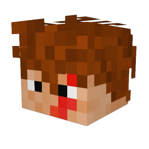 Fl4rks Minecraft avatar head, 3D render