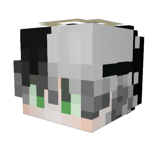 Fl4sG4a_ Minecraft avatar head, 3D render