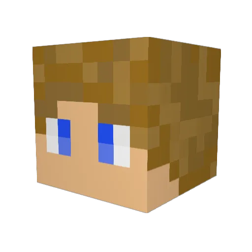FlArE_2508 Minecraft avatar head, 3D render