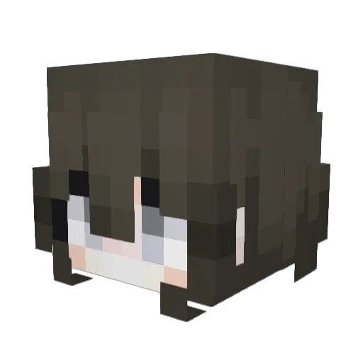 FlAsHpz Minecraft avatar head, 3D render