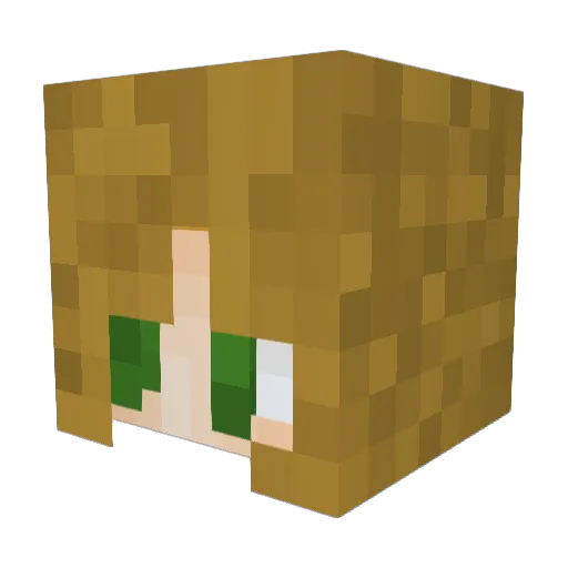 FlF4 Minecraft avatar head, 3D render
