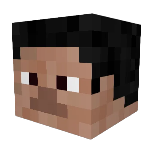 FlXHQ Minecraft avatar head, 3D render