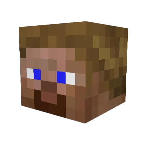 Fl_ng Minecraft avatar head, 3D render
