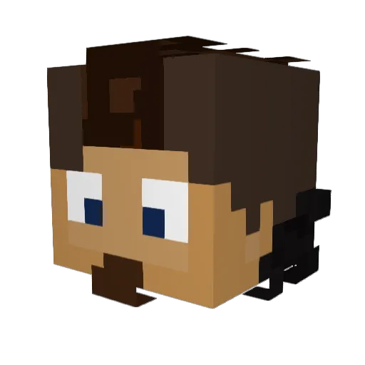 FlaNeliSkO Minecraft avatar head, 3D render