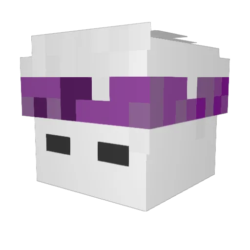 FlaXxim Minecraft avatar head, 3D render