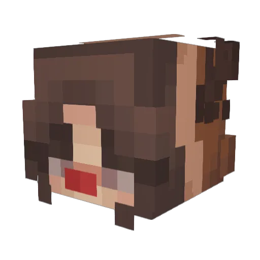 Fla_Boss Minecraft avatar head, 3D render