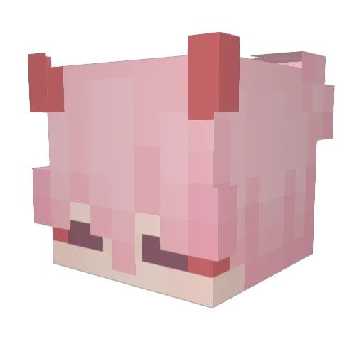 Fla_O Minecraft avatar head, 3D render