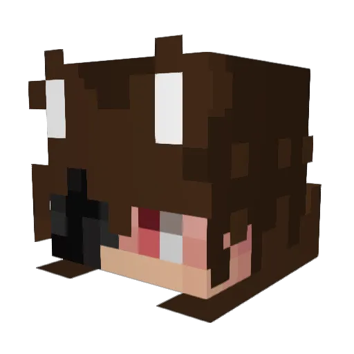 Flaadli Minecraft avatar head, 3D render