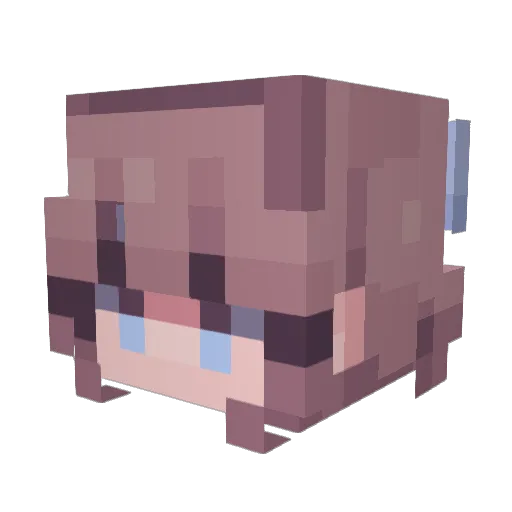 Flabba_ Minecraft avatar head, 3D render