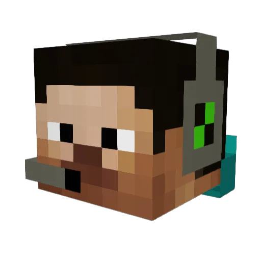 Flacco10 Minecraft avatar head, 3D render
