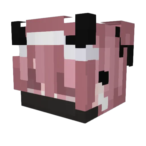 Flace15 Minecraft avatar head, 3D render