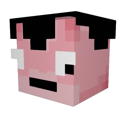 Flacidus Minecraft avatar head, 3D render