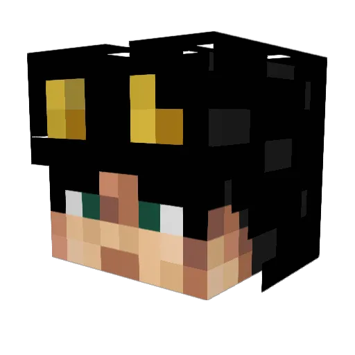 FlackyBoiJR0305 Minecraft avatar head, 3D render