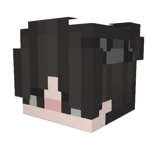 Flacte Minecraft avatar head, 3D render